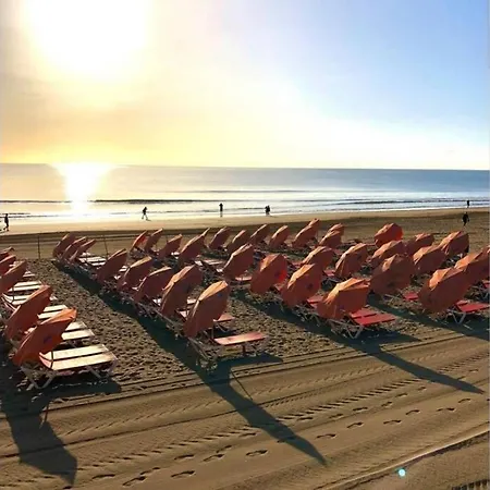 Apartment Luxury 1 Minute From The Of The Dunes